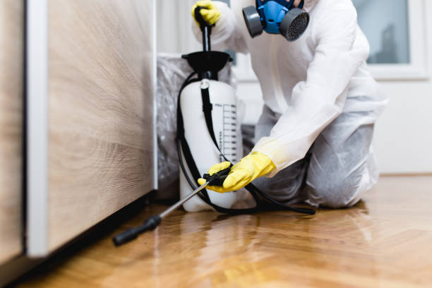 Best Best Pest Control Companies  in Monticello, AR