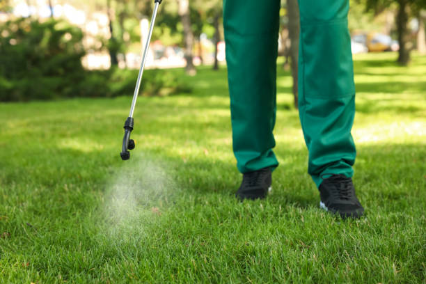 Best Wasp Removal Services  in Monticello, AR