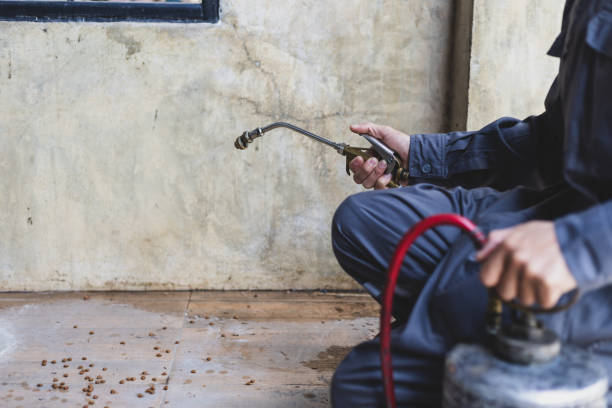 Best Affordable Pest Control Services  in Monticello, AR