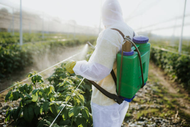 Pest Prevention Services in Monticello, AR